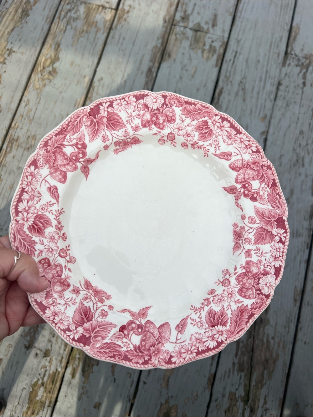 Johnson Brothers dinner plate Strawberry Fair scalloped edge transferware design